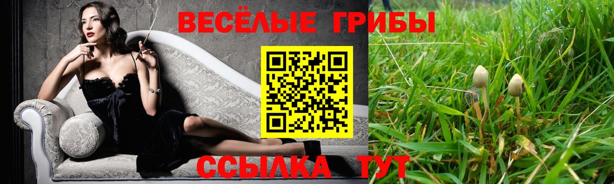 Псилоцибиновые грибы мицелий Алейск
