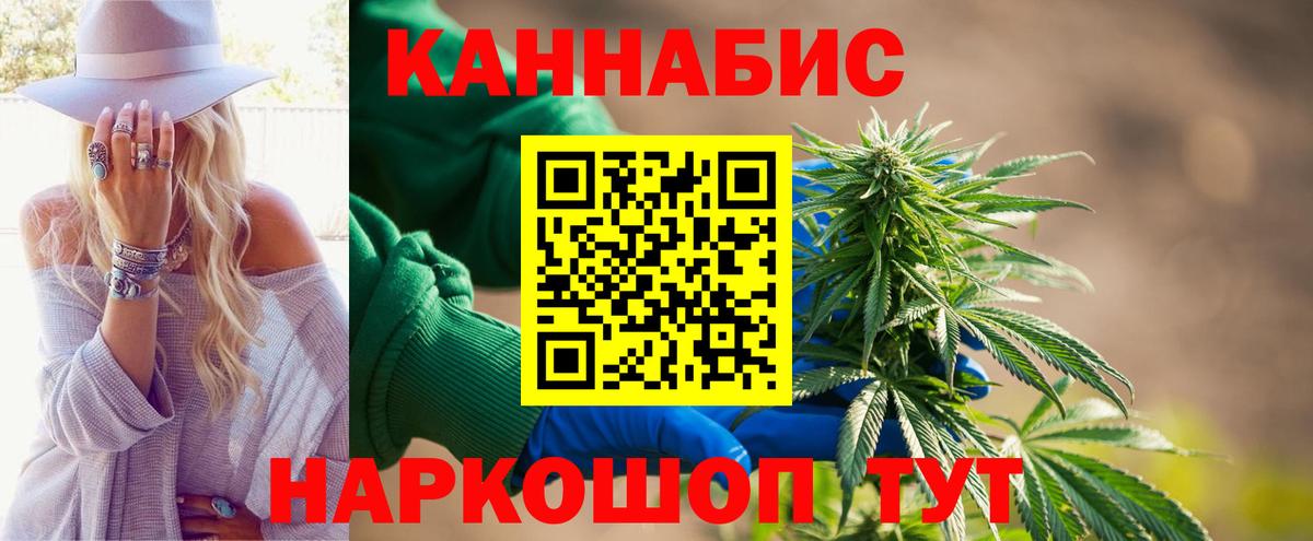 Канабис сатива Алейск